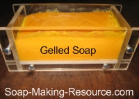 gelled annatto seed soap