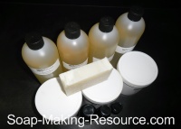 Insect Repellent Soap Recipe Kit