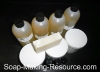 Insect Repellent Soap Recipe Kit Insect Repellent Soap Recipe Kit