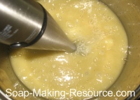 Mixing Soap with Stick Blender