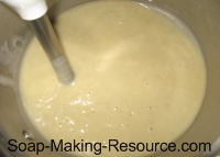 Final Mixing with Stick Blender Final Mixing with Stick Blender
