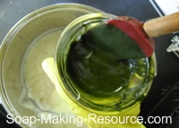 Mixing Spirulina Powder into Small Portion of Soap Mixing Spirulina Powder into Small Portion of Soap
