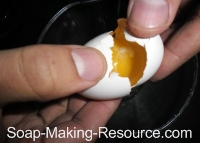 Separating Egg Yolk from White