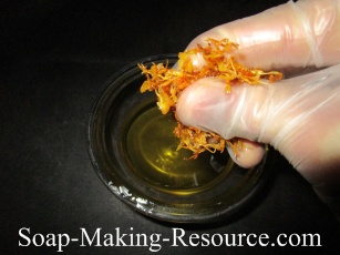 Squeezing Calendula Petals with Fingers Squeezing Calendula Petals with Fingers