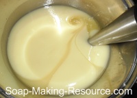 Mixing with Stick Blender Mixing with Stick Blender