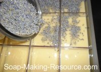 Adding Lavender Buds Adding Lavender Buds
