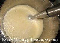 Mixing Soap with Stick Blender