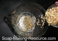 Pouring Walnuts into Water