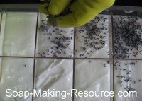 Sprinkling Herbs onto Soap!