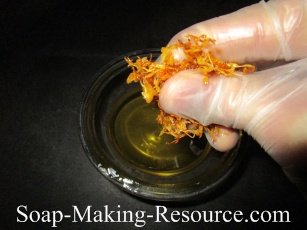 Squeezing Calendula Petals with Fingers